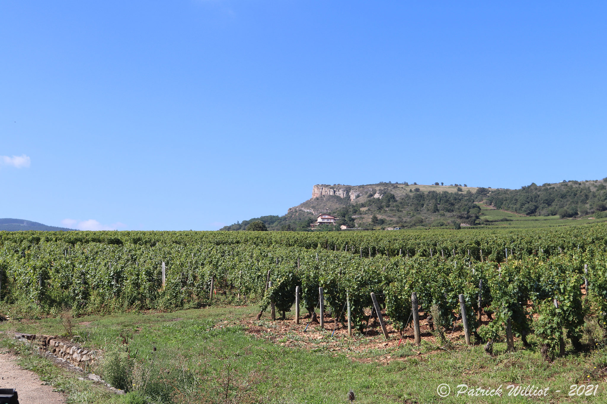 Solutré-Pouilly